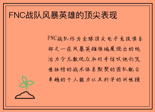 FNC战队风暴英雄的顶尖表现