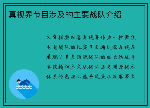 真视界节目涉及的主要战队介绍